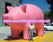 Inflatable helium pig balloon