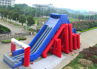 Custom Giant Inflatable Slide With Lovely Theme Hand Painting