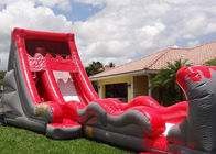 Colorful Hippo Water Slide / Inflatable Wave Water Slide With Silk Printing