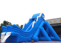 Crazy Blue Inflatable Dragon Theme Dry And Wet Slide With PVC Material