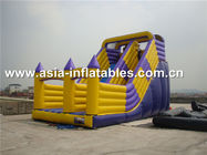 Hot Sale Inflatable Dry Slide With Arch Doors For Chidlren Park Outdoor Games