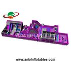 Customized Pink 18 OZ Tarpaulin Inflatable Theme Park